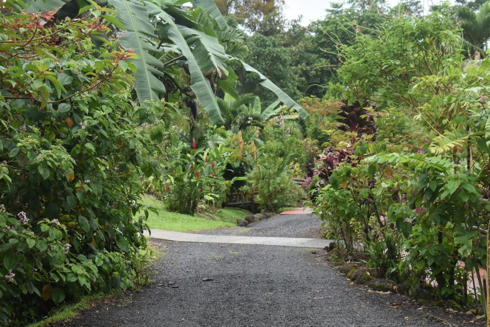 Hotel Roca Negra Del Arenal Ла Фортуна Экстерьер фото