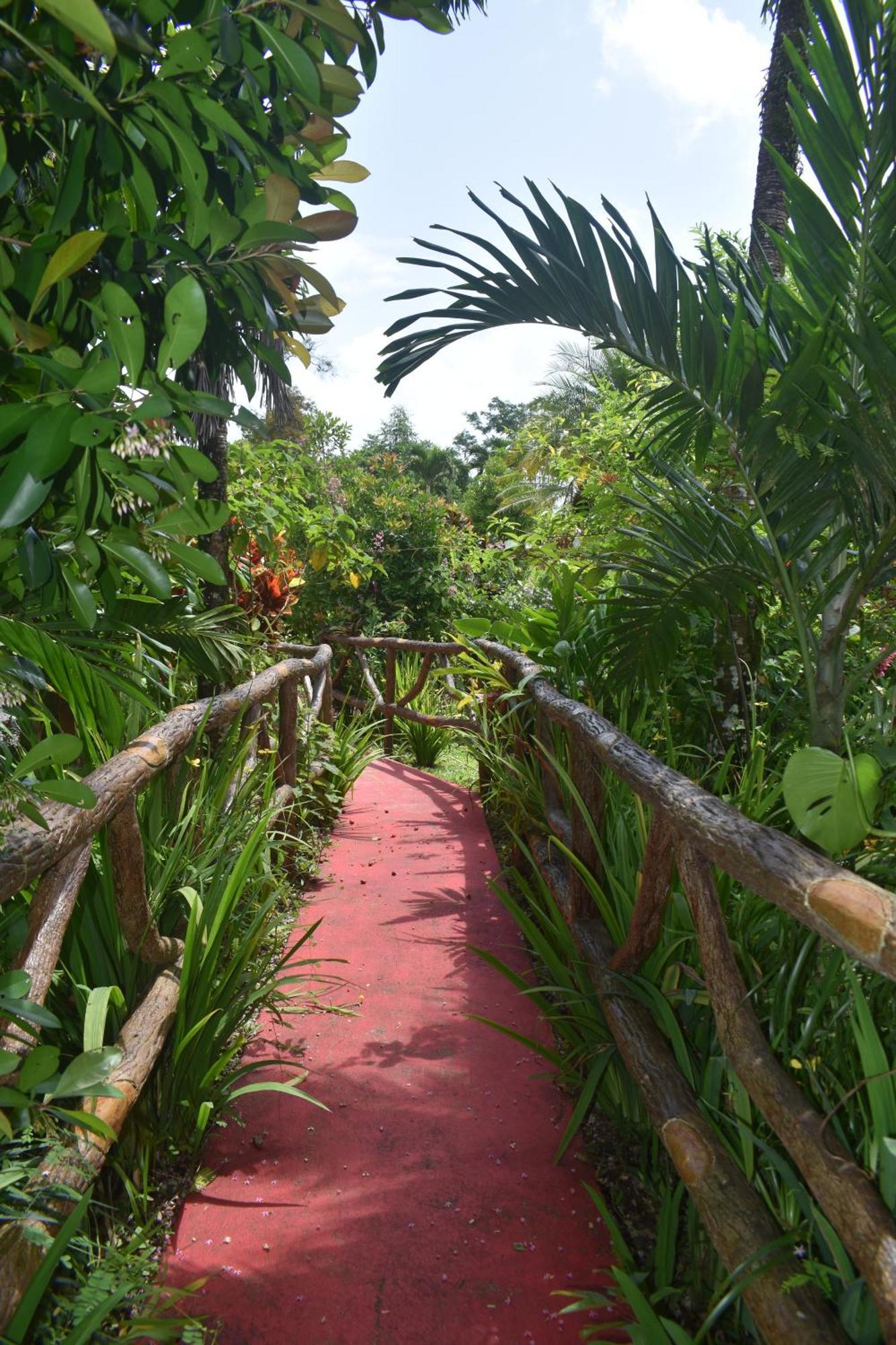 Hotel Roca Negra Del Arenal Ла Фортуна Экстерьер фото
