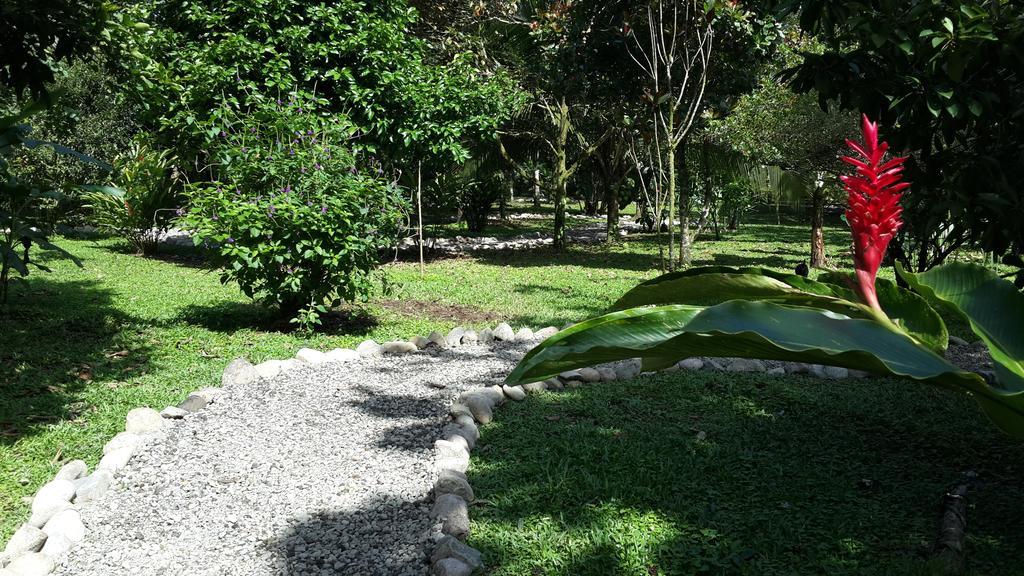 Hotel Roca Negra Del Arenal Ла Фортуна Экстерьер фото