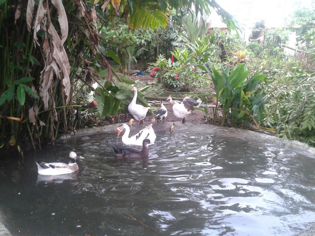 Hotel Roca Negra Del Arenal Ла Фортуна Экстерьер фото