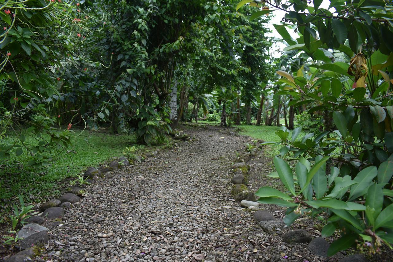 Hotel Roca Negra Del Arenal Ла Фортуна Экстерьер фото